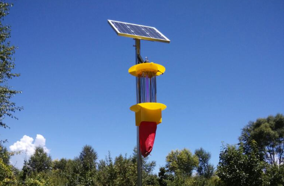 殺蟲燈保障農產品安全